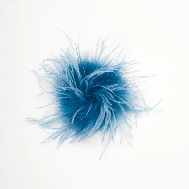 BJ02 V02